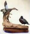 Bluewing Teal Drake & Hen - 1976